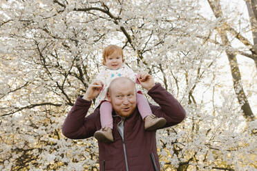 Father carrying daughter on shoulders under tree at park - VIVF00918