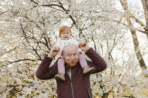 Vater trägt Tochter auf den Schultern unter einem Baum im Park - VIVF00918
