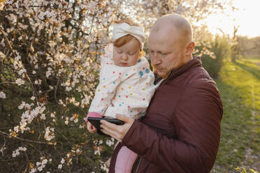 Father sharing smart phone with daughter near tree at park - VIVF00921