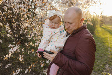 Vater teilt Smartphone mit Tochter in der Nähe eines Baumes im Park - VIVF00921
