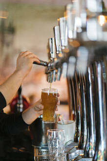 Hände eines Kellners, der Bier aus einem Wasserhahn in ein Glas füllt - EGAF02602