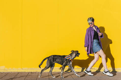 Happy lesbian woman playing with dog in front of yellow wall at sunny day - MGRF01011