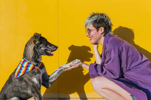 Lächelnde lesbische Frau beim Händeschütteln mit Hund vor einer gelben Wand - MGRF01012