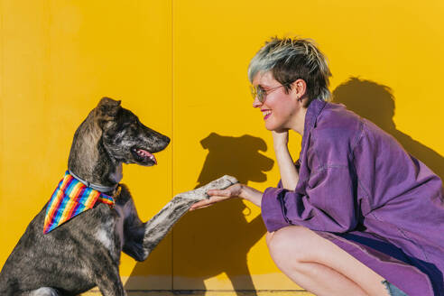 Smiling lesbian woman doing handshake with dog in front of yellow wall - MGRF01012