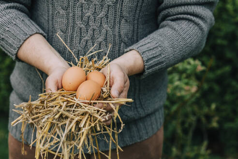 Man in sweater holding newly laid eggs with hay - VSNF00827