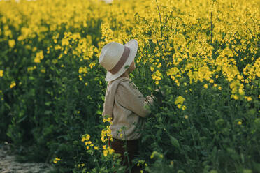 Junge mit Hut, der sich inmitten von Blumen im Rapsfeld versteckt - VSNF00835