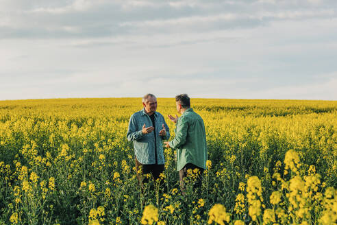 Father and son talking amidst flowers in rapeseed field - VSNF00841