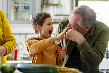 Grandson and grandfather playing with vegetable at home - VSNF00846