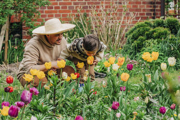Son smelling tulips by father in garden - VSNF00848