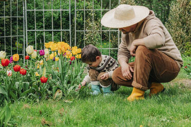 Sohn und Vater hocken in der Nähe von Tulpen Blumen im Garten - VSNF00852