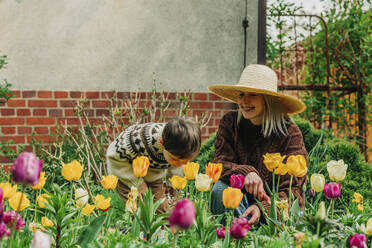Mutter und Sohn verbringen ihre Freizeit inmitten von Tulpen im Garten - VSNF00860