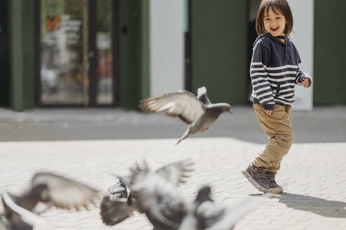Glücklicher Junge spielt mit Tauben im Park - ANAF01411