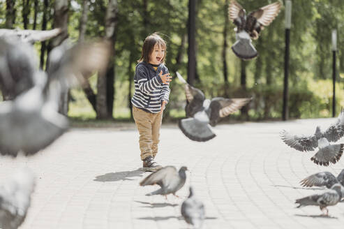 Junge schreit inmitten von fliegenden Tauben im Park - ANAF01412