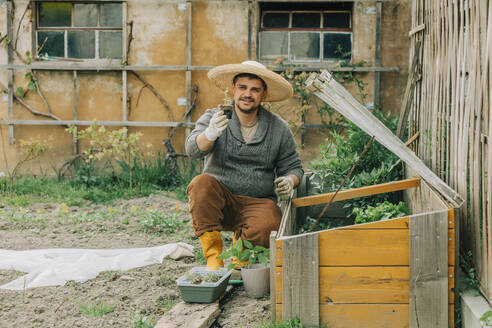 Man showing vegetable seedling by cold frame at garden - VSNF00878