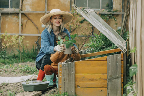 Mother and son planting vegetable seedling in cold frame at garden - VSNF00881