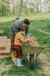 Father and son putting hay in wheelbarrow at back yard - VSNF00890