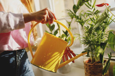Woman watering flowering plants with yellow can on window sill at home - MDOF01107