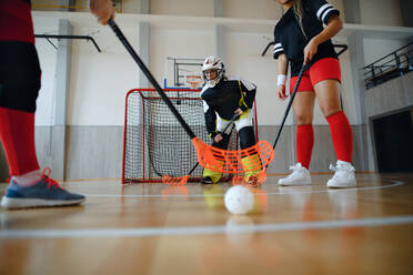 Multigenerational woman floorball team playing together in gym. - HPIF09608