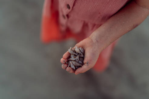 Nahaufnahme eines kleinen Mädchens mit Muscheln am Strand. - HPIF09814