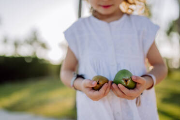 Kleines Mädchen posiert mit einer exotischen Frucht und genießt die Zeit im tropischen Urlaub. - HPIF09878