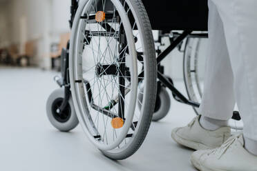 Rückansicht einer Pflegekraft, die einen Rollstuhl auf einem Korridor im Krankenhaus schiebt. - HPIF09911