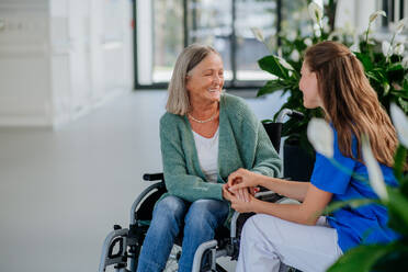 Junge Ärztin, die sich um eine ältere Frau in einem Rollstuhl kümmert. - HPIF09971