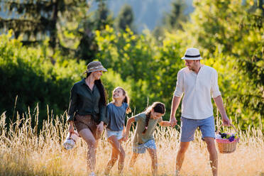 Eine glückliche junge Eltern mit Töchtern zu Fuß für Picknick in der Natur im Sommer Tag. - HPIF10836
