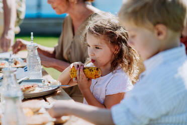 Multi generation family having an outdoor garden party. - HPIF10918