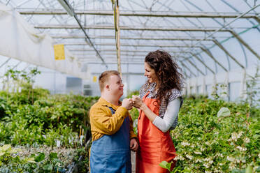 Eine Blumenhändlerin stößt in einem Gartencenter mit ihrem jungen Kollegen mit Down-Syndrom zusammen. - HPIF10974