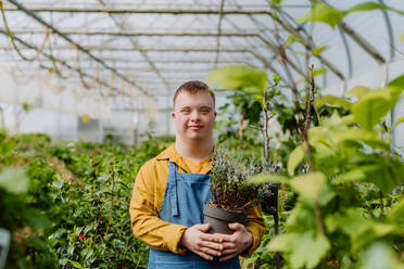 Ein glücklicher junger Angestellter mit Down-Syndrom arbeitet in einem Gartencenter und kümmert sich um die Blumen. - HPIF10975