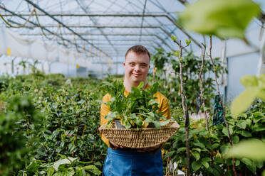 Ein junger Mann mit Down-Syndrom arbeitet in einem Gartencenter und trägt einen Korb mit Pflanzen. - HPIF10978