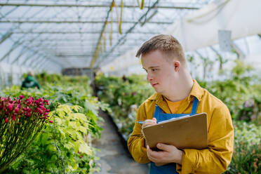 A young man with Down syndrome working in garden centre, holidng clipboard and checking plants. - HPIF10984