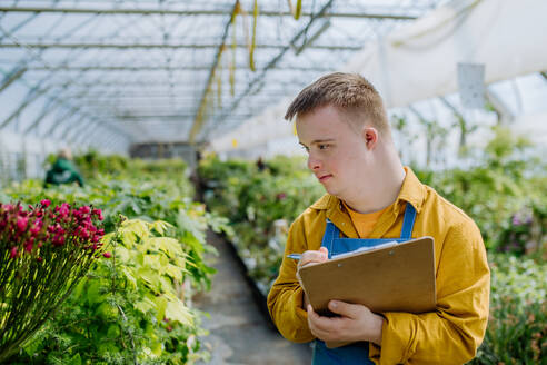 Ein junger Mann mit Down-Syndrom arbeitet in einem Gartencenter, hält ein Klemmbrett in der Hand und kontrolliert die Pflanzen. - HPIF10984