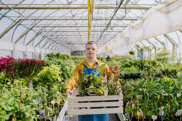 Ein junger Mann mit Down-Syndrom arbeitet in einem Gartencenter und trägt eine Kiste mit Pflanzen. - HPIF10987