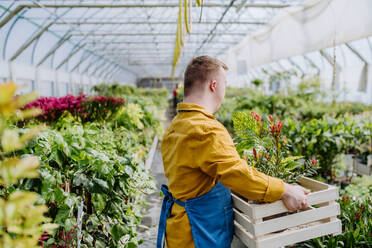 Ein junger Mann mit Down-Syndrom arbeitet in einem Gartencenter und trägt eine Kiste mit Pflanzen. - HPIF10989