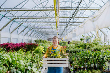 Ein junger Mann mit Down-Syndrom arbeitet in einem Gartencenter und trägt eine Kiste mit Pflanzen. - HPIF10990