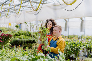 Eine erfahrene Floristin hilft einem jungen Mitarbeiter mit Down-Syndrom in einem Gartencenter. - HPIF10995