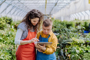 An experienced woman florist helping young employee with Down syndrome to check flowers on tablet in garden centre. - HPIF10996