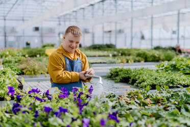 Ein glücklicher junger Angestellter mit Down-Syndrom arbeitet in einem Gartencenter und bewässert Pflanzen mit einem Duschkopf und einem Schlauch. - HPIF11012