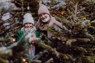 Glückliches älteres Paar genießt den Weihnachtsmarkt im Freien und kauft einen Weihnachtsbaum. - HPIF11171