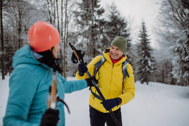 Älteres Paar beim gemeinsamen Skifahren inmitten eines verschneiten Waldes - HPIF11244