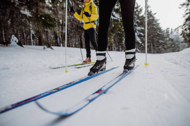 Tiefschnitt und Nahaufnahme von Skifahrern beim Skilanglauf inmitten des Waldes. - HPIF11270