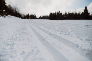 Neuschnee auf der Langlaufloipe. - HPIF11303