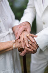 Nahaufnahme der Hände von Senioren mit goldenen Eheringen während ihrer Hochzeit. - HPIF11408