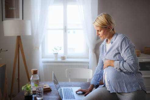 Eine schwangere Frau mit Home-Office in der Wohnung. - HPIF11673