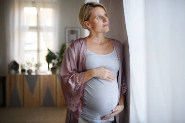 Glückliche schwangere Frau, die zu Hause ihren Bauch streichelt. - HPIF11685