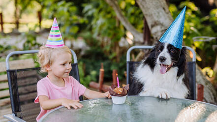 Kleines Mädchen und ihr Hund bei einer Geburtstagsfeier. - HPIF11802