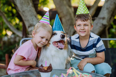 Kleine Kinder und ihr Hund bei einer Geburtstagsfeier. - HPIF11803