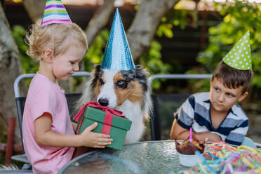 Kleine Kinder und ihr Hund bei einer Geburtstagsfeier. - HPIF11804