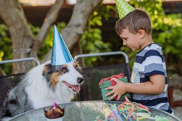 Kleiner Junge und sein Hund bei einer Geburtstagsfeier. - HPIF11806